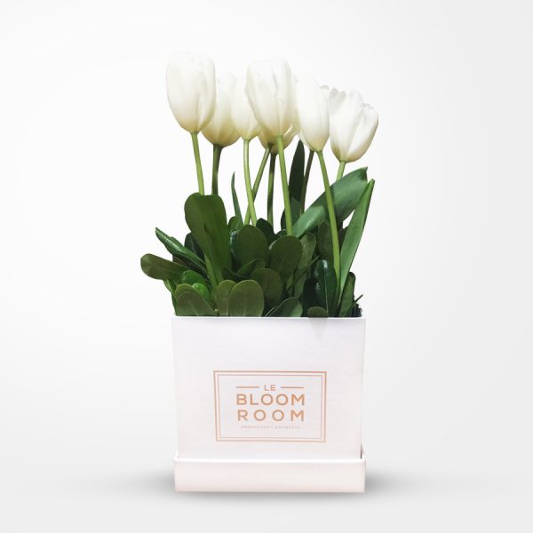 tulipanes en caja