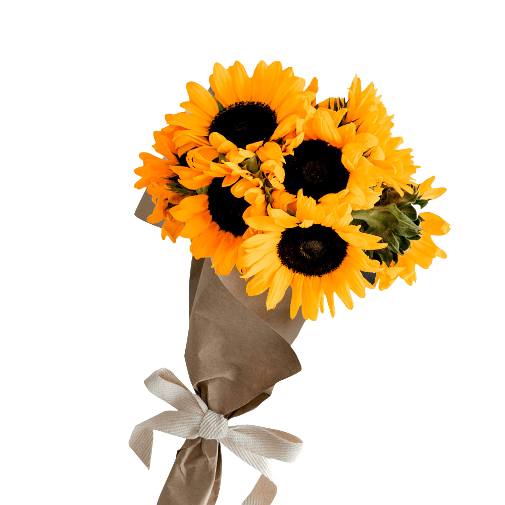 ▷ Ramo de Girasoles | LeBloomRoom.com ¡Envía flores hoy!